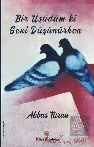 Bir Üşüdüm ki Seni Düşünürken