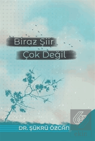 Biraz Şiir Çok Değil