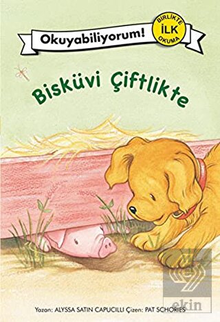 Bisküvi Çiftlikte