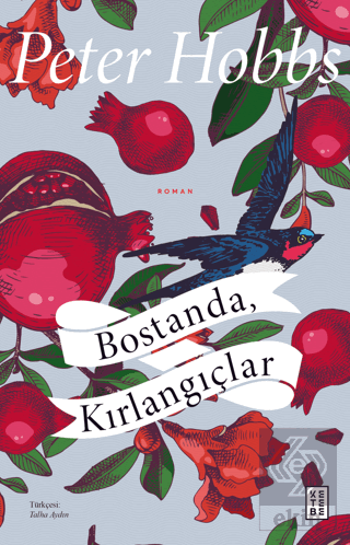 Bostanda, Kırlangıçlar