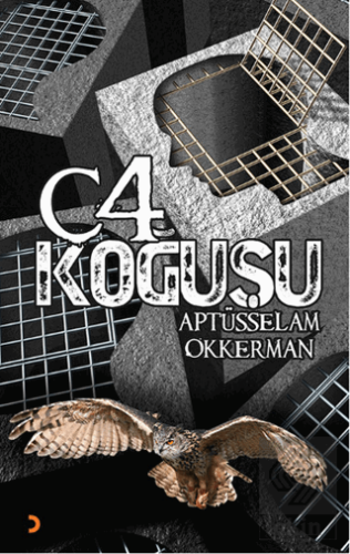 C-4 Koğuşu