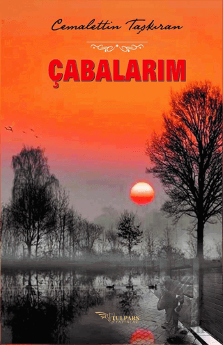 Çabalarım