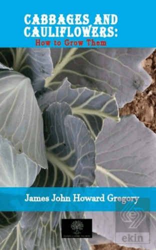 Cabbages and Cauliflowers: How to Grow Them