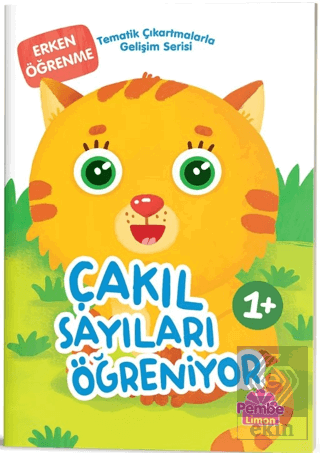 Çakıl Sayıları Öğreniyor