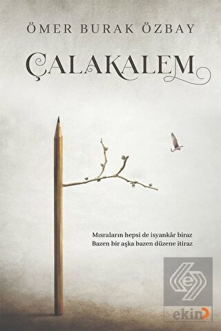 Çalakalem