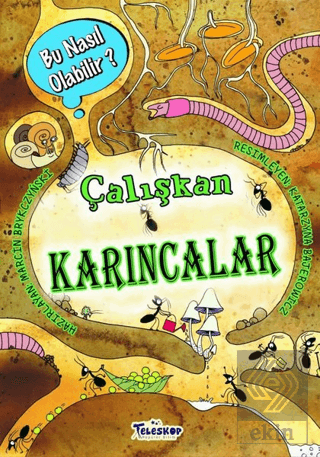 Çalışkan Karıncalar – Bu Nasıl Olabilir?