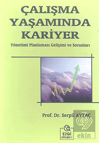 Çalışma Yaşamında Kariyer