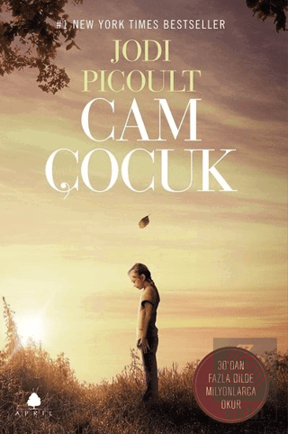 Cam Çocuk