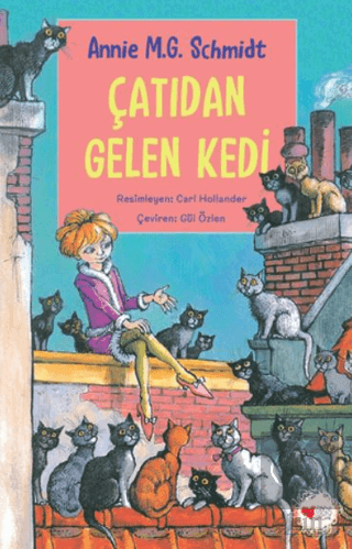 Çatıdan Gelen Kedi