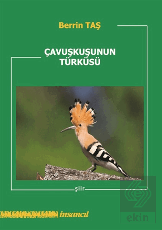 Çavuşkuşunun Türküsü