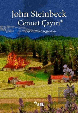 Cennet Çayırı