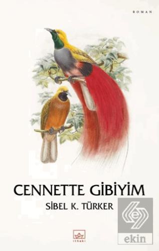 Cennette Gibiyim