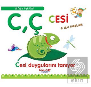 Cesi C İle Başlar / Alfabe Öyküleri