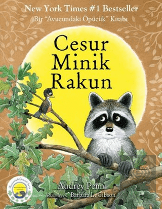 Cesur Minik Rakun