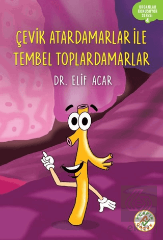 Çevik Atardamarlar İle Tembel Toplardamarlar - Org