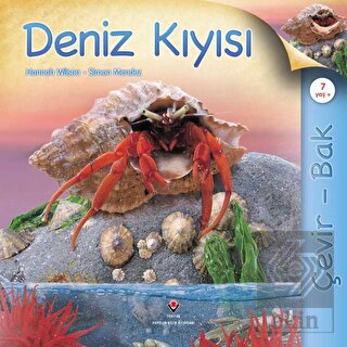 Çevir Bak - Deniz Kıyısı