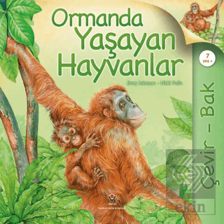 Çevir Bak - Ormanda Yaşayan Hayvanlar