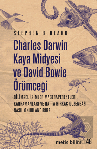 Charles Darwin Kaya Midyesi ve David Bowie Örümceğ