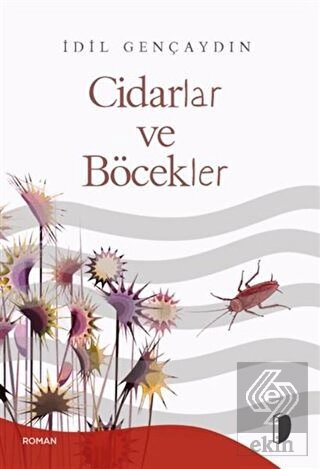 Cidarlar ve Böcekler