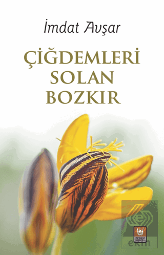 Çiğdemleri Solan Bozkır