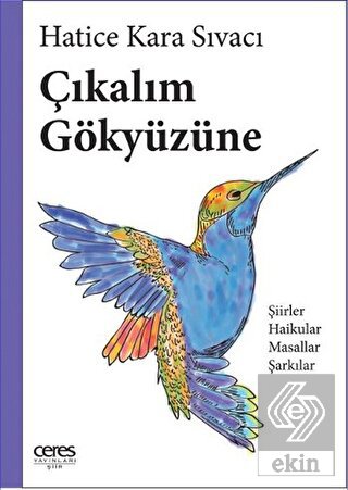 Çıkalım Gökyüzüne