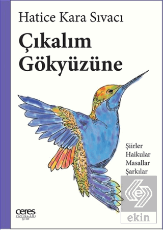 Çıkalım Gökyüzüne