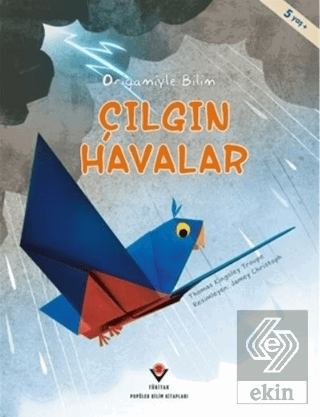 Çılgın Havalar - Origamiyle Bilim