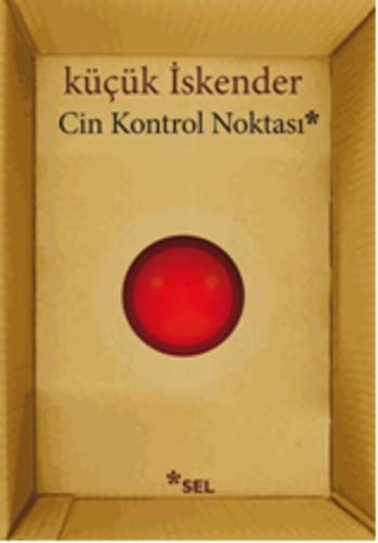 Cin Kontrol Noktası