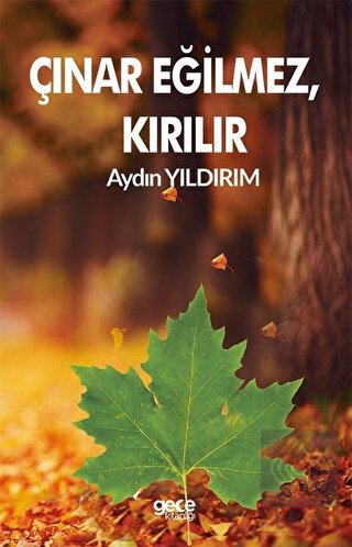 Çınar Eğilmez, Kırılır