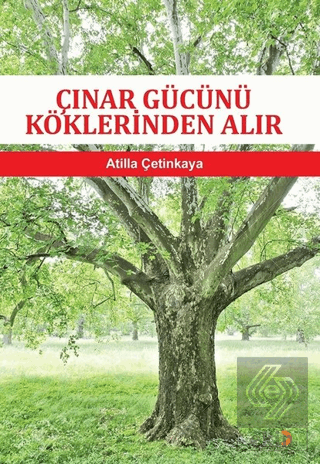 Çınar Gücünü Köklerinden Alır