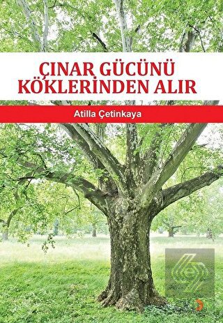 Çınar Gücünü Köklerinden Alır