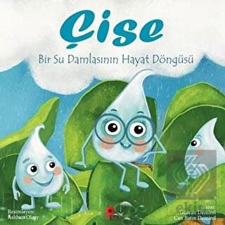 Çise: Bir Su Damlasının Hayat Döngüsü