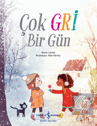 Çok Gri Bir Gün