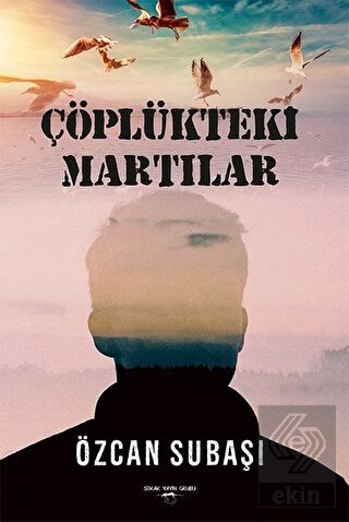 Çöplükteki Martılar