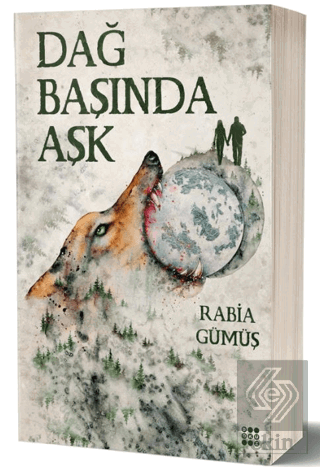 Dağ Başında Aşk