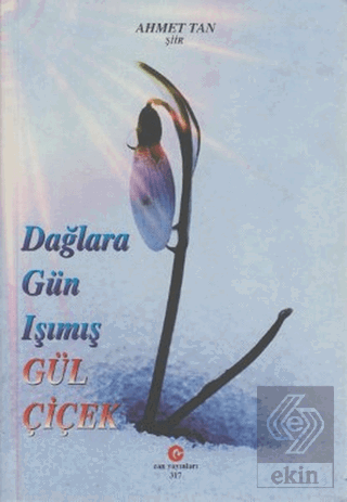 Dağlara Gün Işımış Gül Çiçek