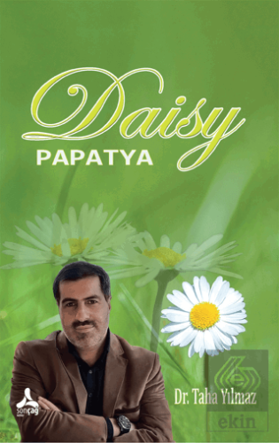 Daisy - Papatya