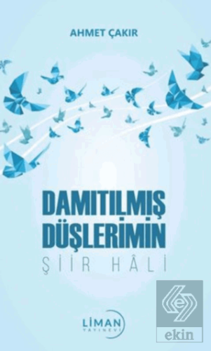 Damıtılmış Düşlerimin Şiir Hali