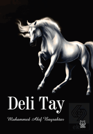 Deli Tay