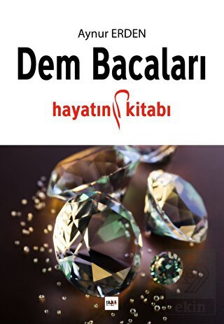 Dem Bacaları