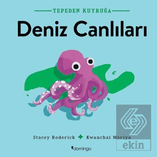 Deniz Canlıları - Tepeden Kuyruğa