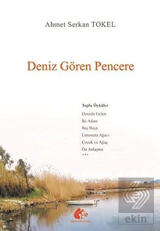 Deniz Gören Pencere