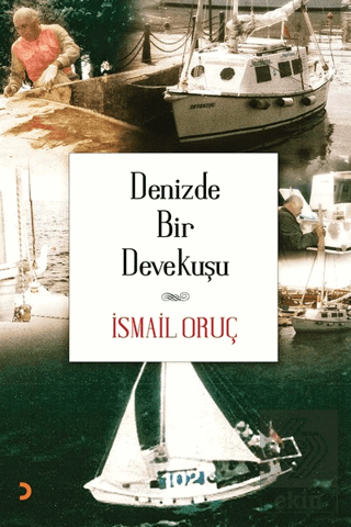 Denizde Bir Devekuşu