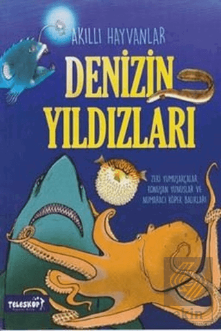 Denizin Yıldızları