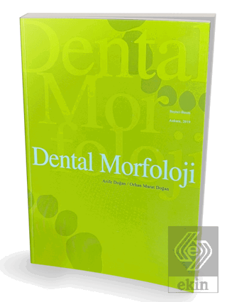 Dental Morfoloji