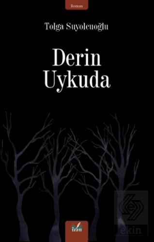 Derin Uykuda