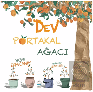 Dev Portakal Ağacı