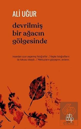 Devrilmiş Bir Ağacın Gölgesinde