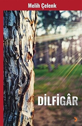 Dilfigar