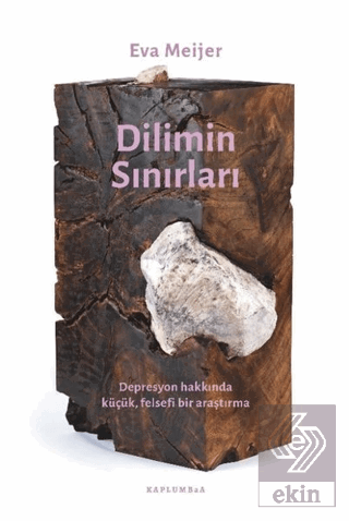 Dilimin Sınırları